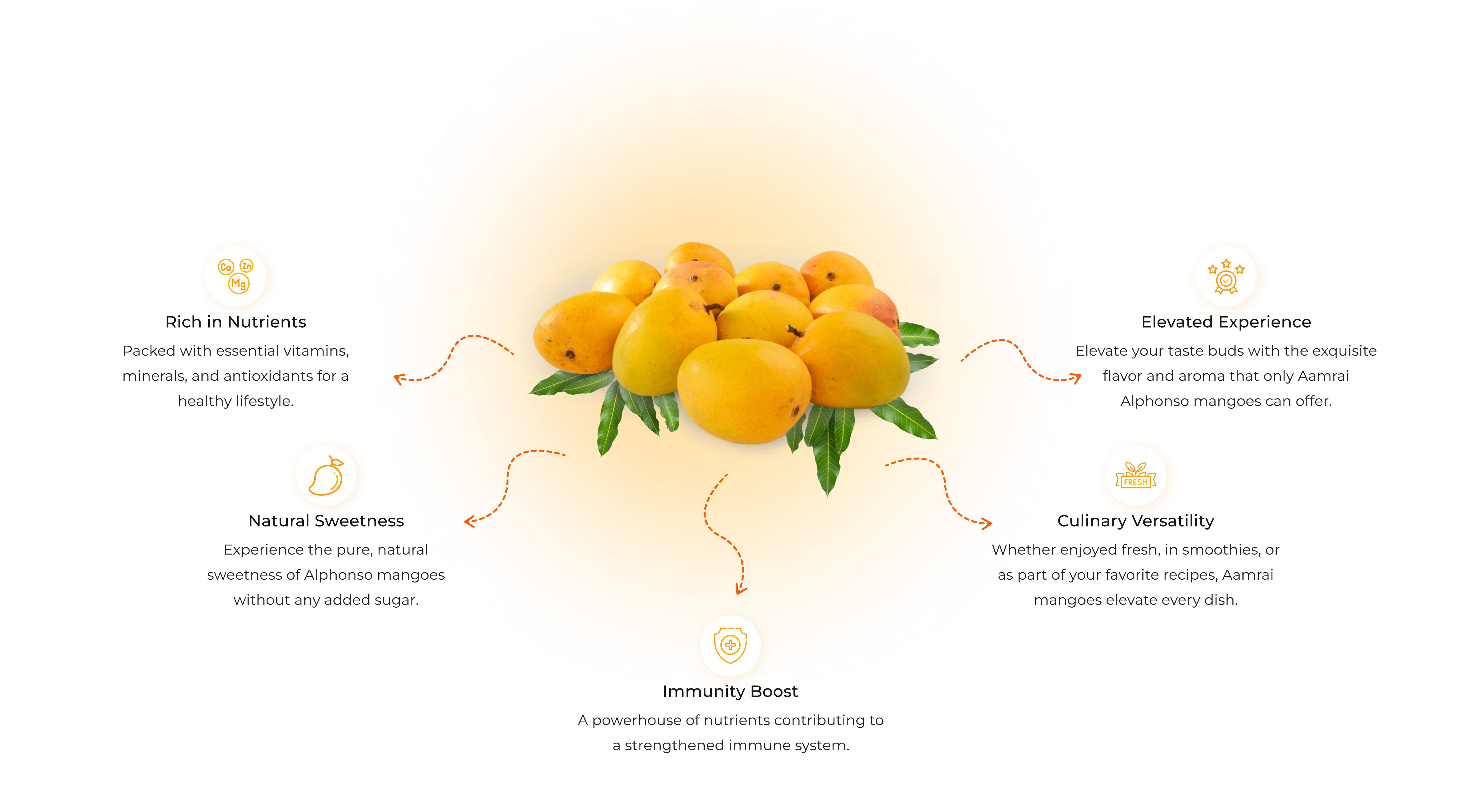 ratnagiri alphonso mango