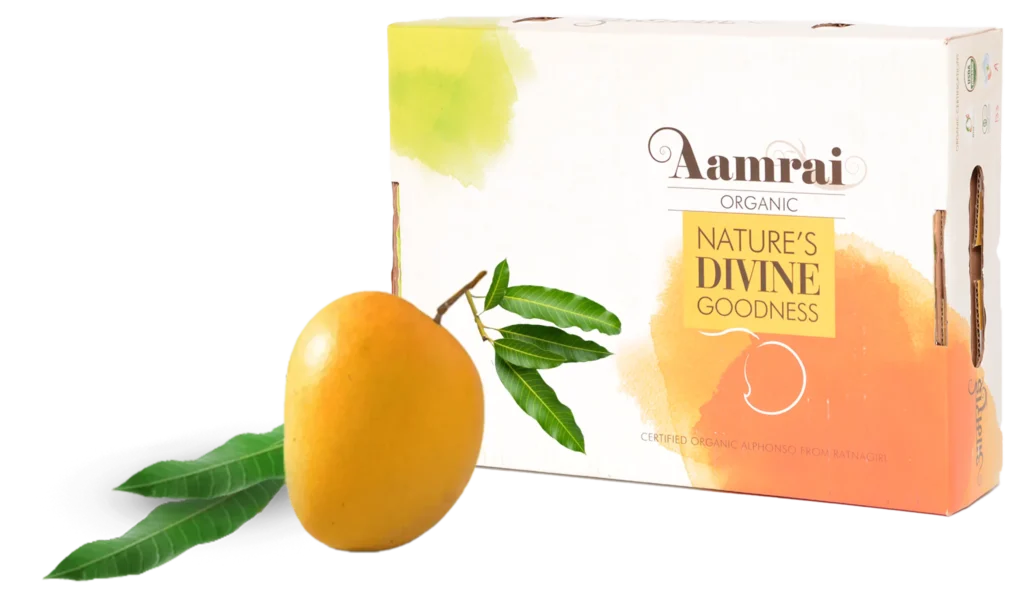 alphonso mangoes