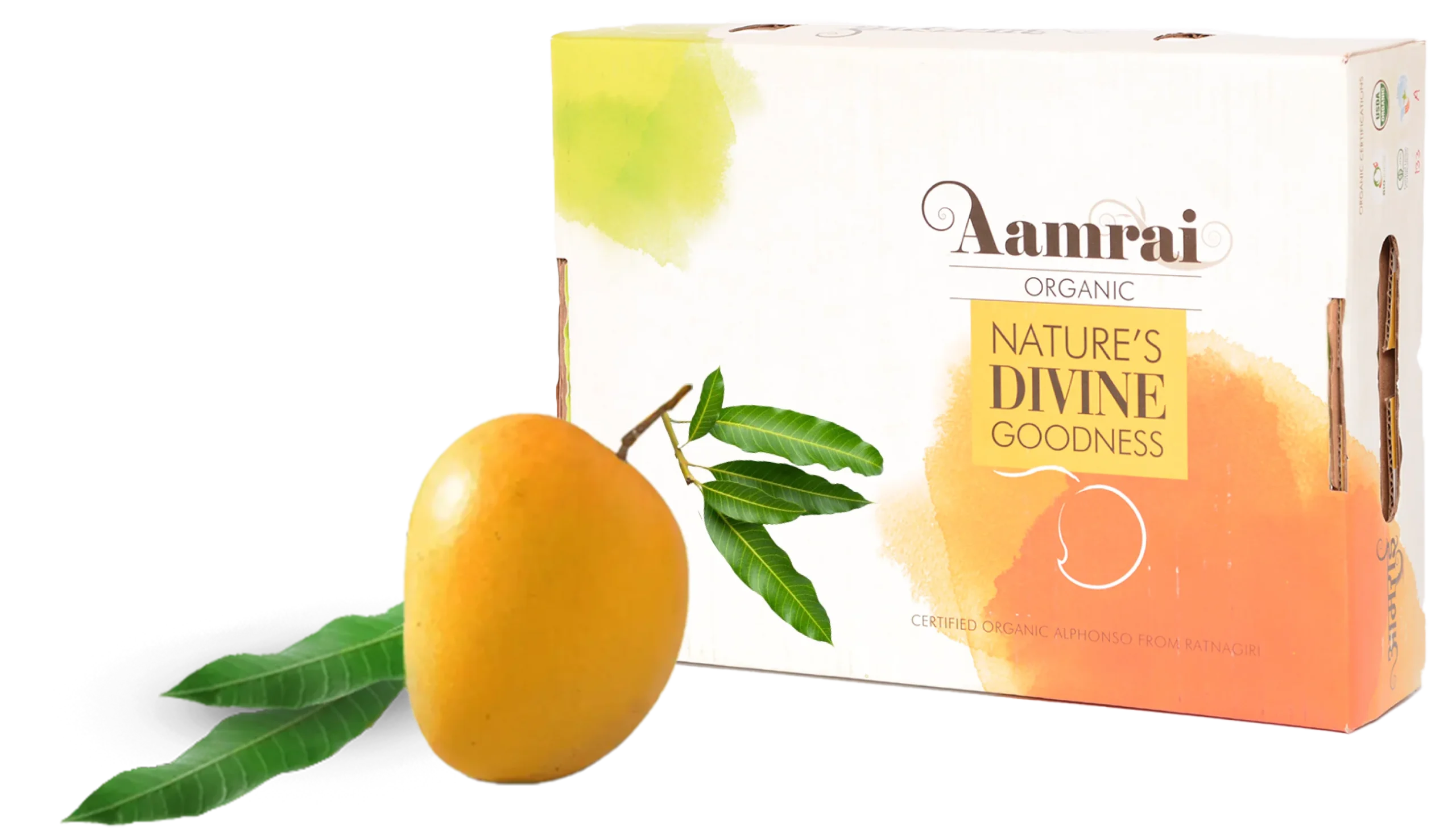 alphonso mangoes