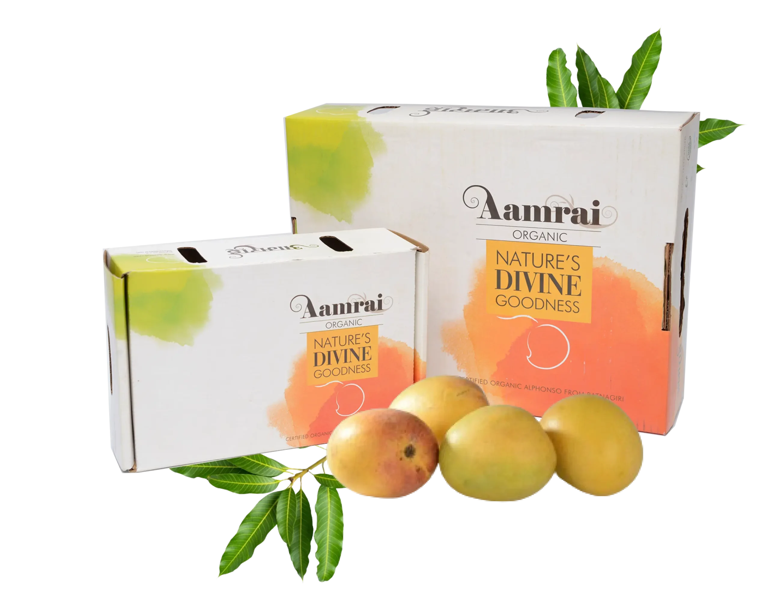 fresh mangoes home delivery